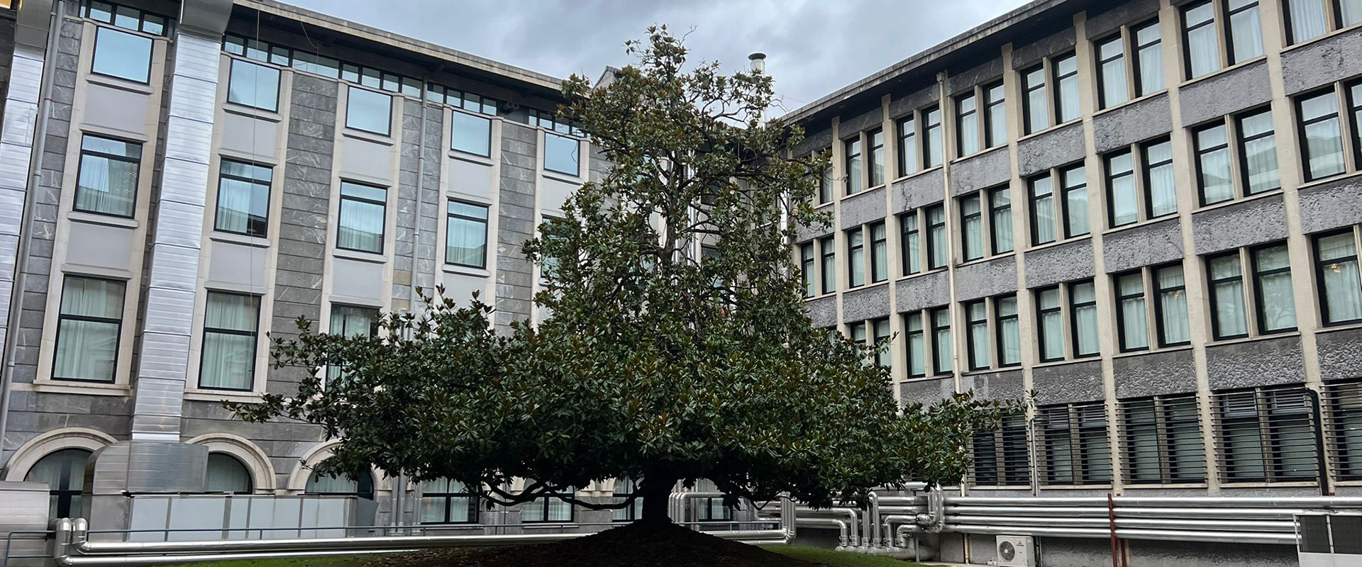 universidad deusto2.jpg