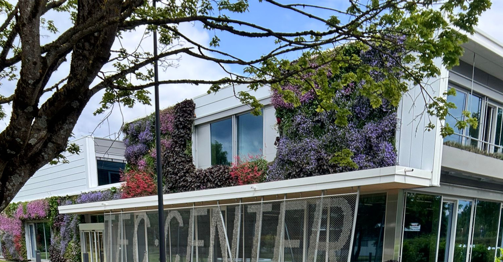 teccenterflores.jpg