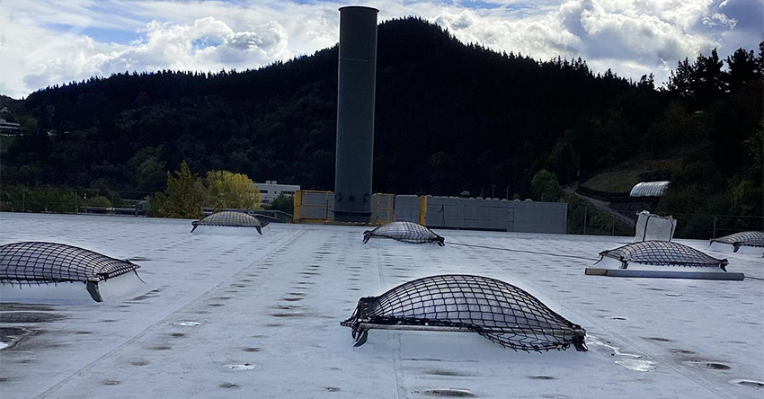 cubierta blanqueada.jpg